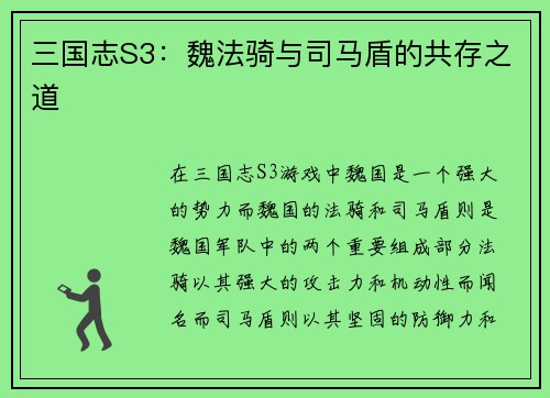 三国志S3：魏法骑与司马盾的共存之道